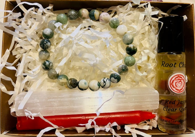 Root Chakra Balance Kit - Tree Agate Bracelet